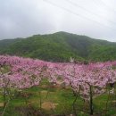 금병농장 이미지