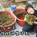 곤이 농장 이미지