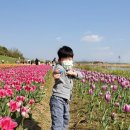 파주우체국 이미지