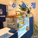 요거트 아이스크림의 정석 | 요거트아이스크림의정석 요아정 후기 | 수유 “요아정”