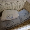 돌담과 초록 이미지