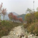 기세곡천 이미지