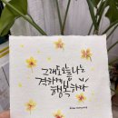 붓펜 캘리그라피 이미지
