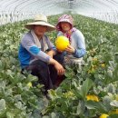 김주연농장 이미지