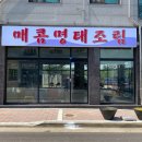 명태혁명 이미지