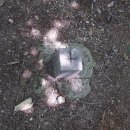 용인정신병원 이미지