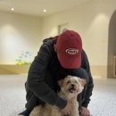 hododog(호도독) 네이버블로그