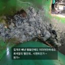최강전문청소업체 이미지