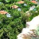 트리사라 이미지