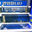 마구잡이횟집 이미지