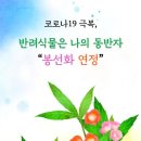 일산서구보건소치매안심센터 이미지