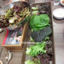 럭키주유소 네이버블로그