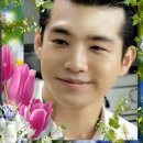 탐스럽개 Daum카페