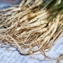 새싹슈퍼 이미지