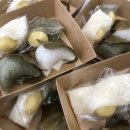 서울떡집본점 이미지