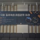아프리카미래학회