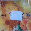 삼태산 농장 이미지