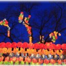 연등축제-조계사의 연등하늘나무..종각역의 용등.2010 5월16일 이미지
