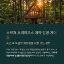 트리하우스 이미지