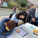 [이태열 거제시의원] 장승포 블라섬 축제 이미지