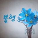 삼호약국 | 쌍문동 원룸 이사 불행일까?