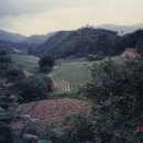 삼밭골 이미지