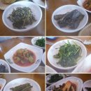 햇살촌 네이버블로그