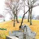 사선대관광지 이미지