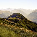 홍의인농장 이미지