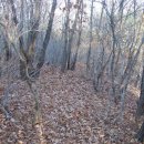 탑골목장 이미지