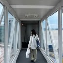 올리브푸드 대진여객점 | 푸동 OZ365, 푸동-인천 OZ366 이코노미 왕복 탑승 후기 (항공권 가격, 기내식, 카스, 매그넘 아이스크림)
