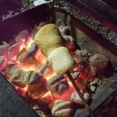 평화강변 수목캠핑장 이미지