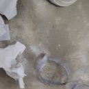 안중농협현덕지점 | 평택 안중 주택 화장실 누수 해결 1부 속편: 누수 원천 차단을 위한 배관 보수 작업