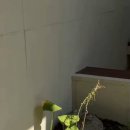 머물다감 이미지