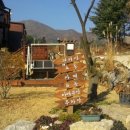 모나코펜션 이미지