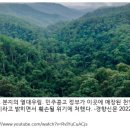 우림개발