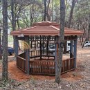 월성공원 이미지