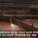 영어조합법인 청정제주 이미지