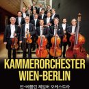 요한 스트라우스 챔버 오케스트라 | 다시 만난 라이너 호넥과 빈 베를린 체임버 오케스트라 (예술의전당 공연후기)