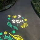 수피아조명
