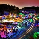 허브사랑 이미지