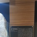 엘피데스 이미지
