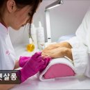 더펫미용실 이미지