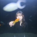 코코사진관 - 원주시 천매봉길 17 | 코코사진관