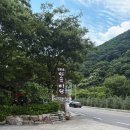 민속마당 | 밀양 얼음골 민속마당 산채비빔밥, 도토리묵, 파전 내돈내산