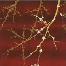 에이스병원 이미지