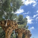 종일식당 이미지