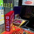 NO.2 종로 [로뎅공방] 커플링 내돈내산 솔직후기 (반지 셀프로 줄이기)
