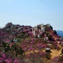 교보생명평택 이미지