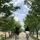 로니의 기차 | 전남 곡성 1박2일 여행 (2일차) - 기차타고 철쭉도 보고 !